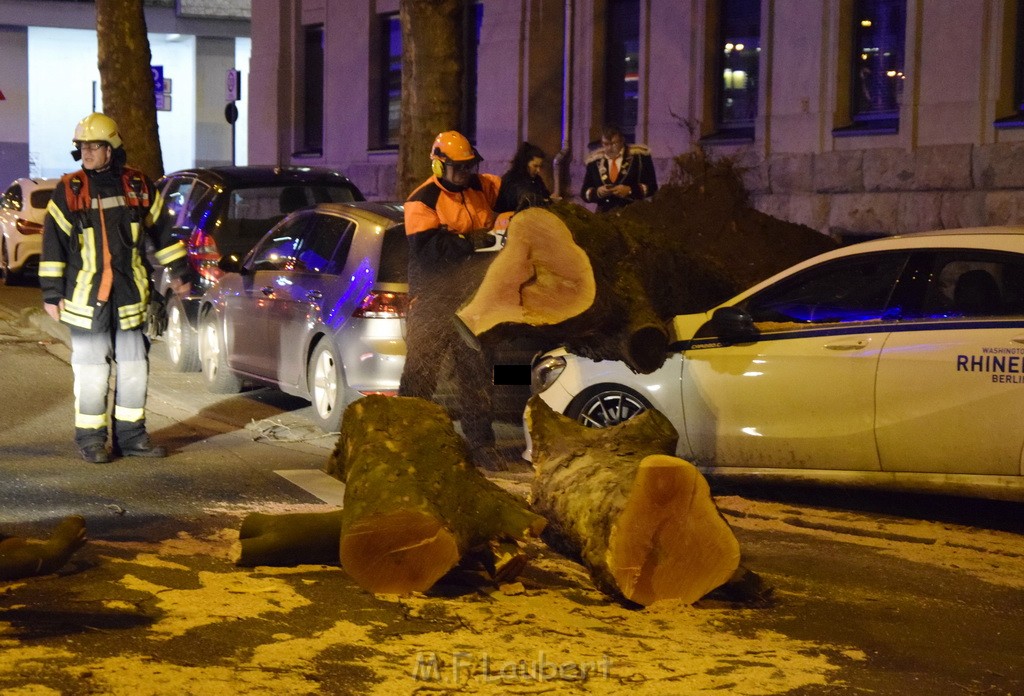 Baum auf PKWs Koeln Mitte Rheinuferstr Goldgasse P079.JPG - Miklos Laubert